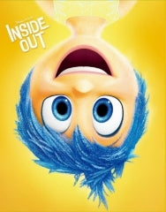 Inside Out - Fullslip